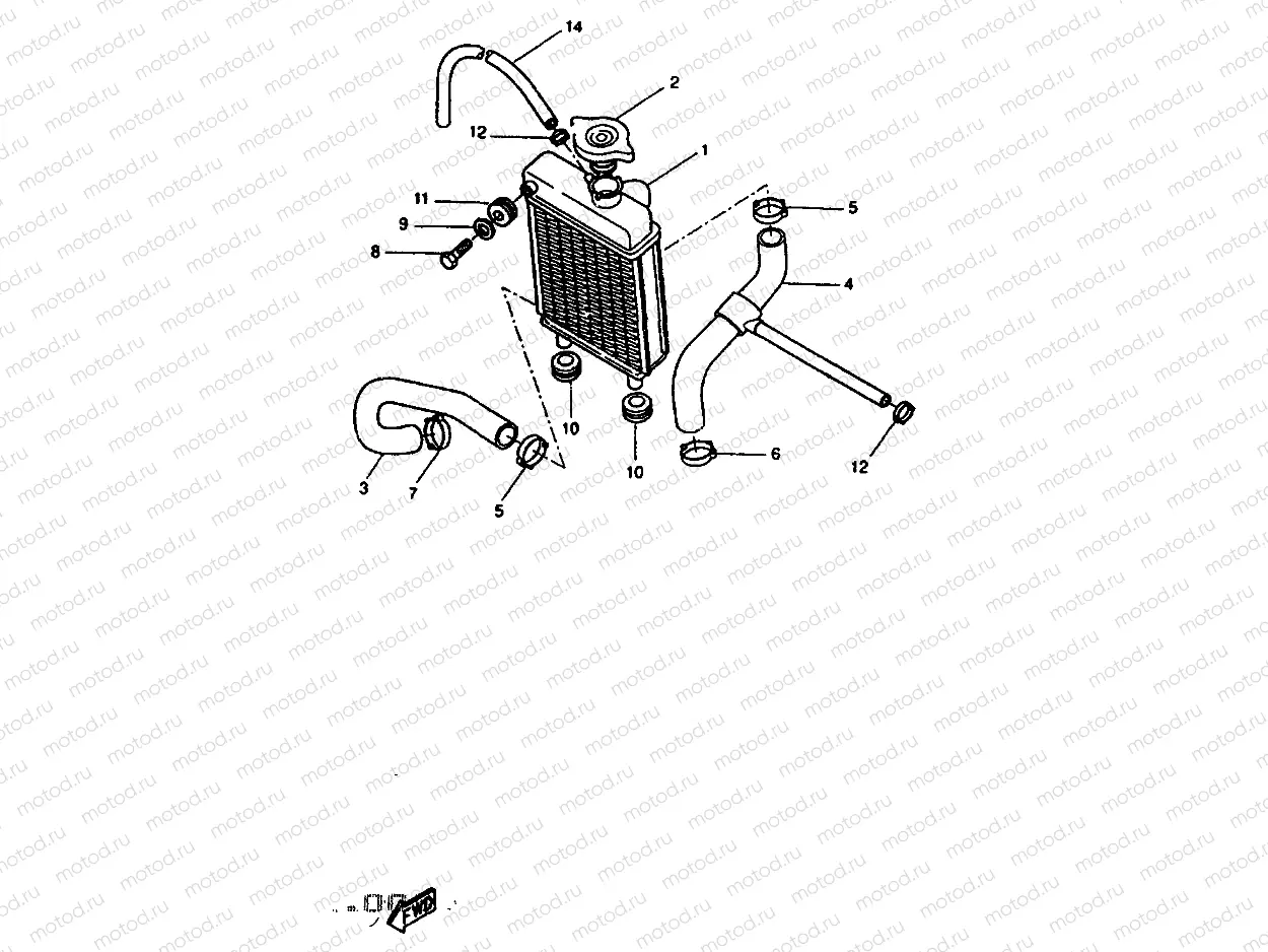RADIATOR & HOSE