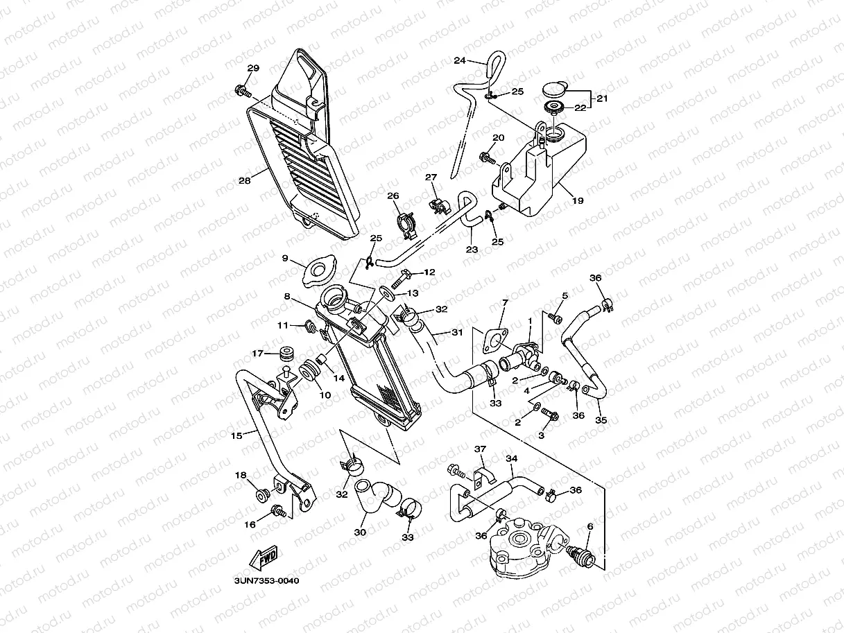 RADIATOR & HOSE