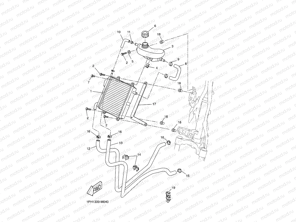 RADIATOR & HOSE