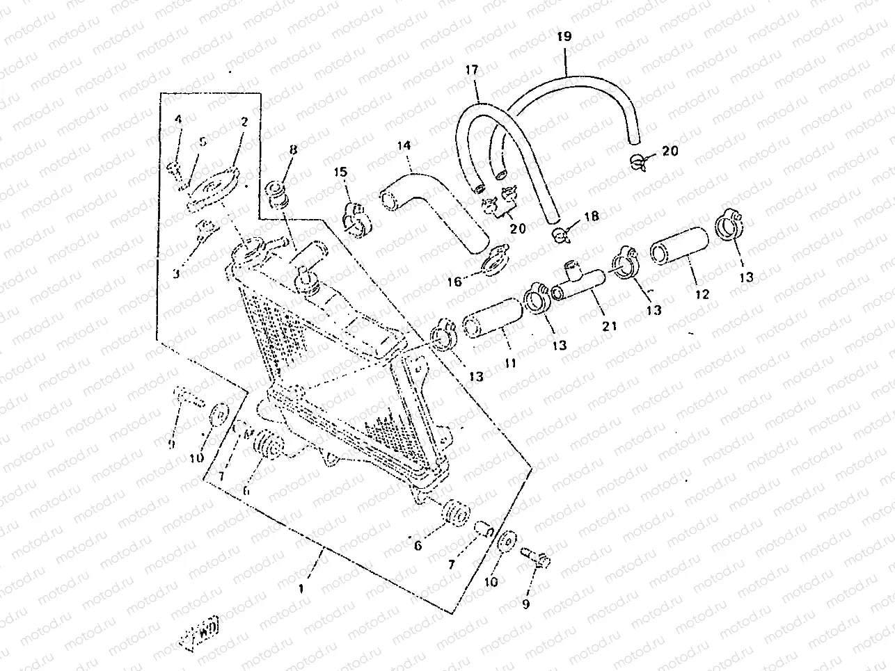 RADIATOR & HOSE