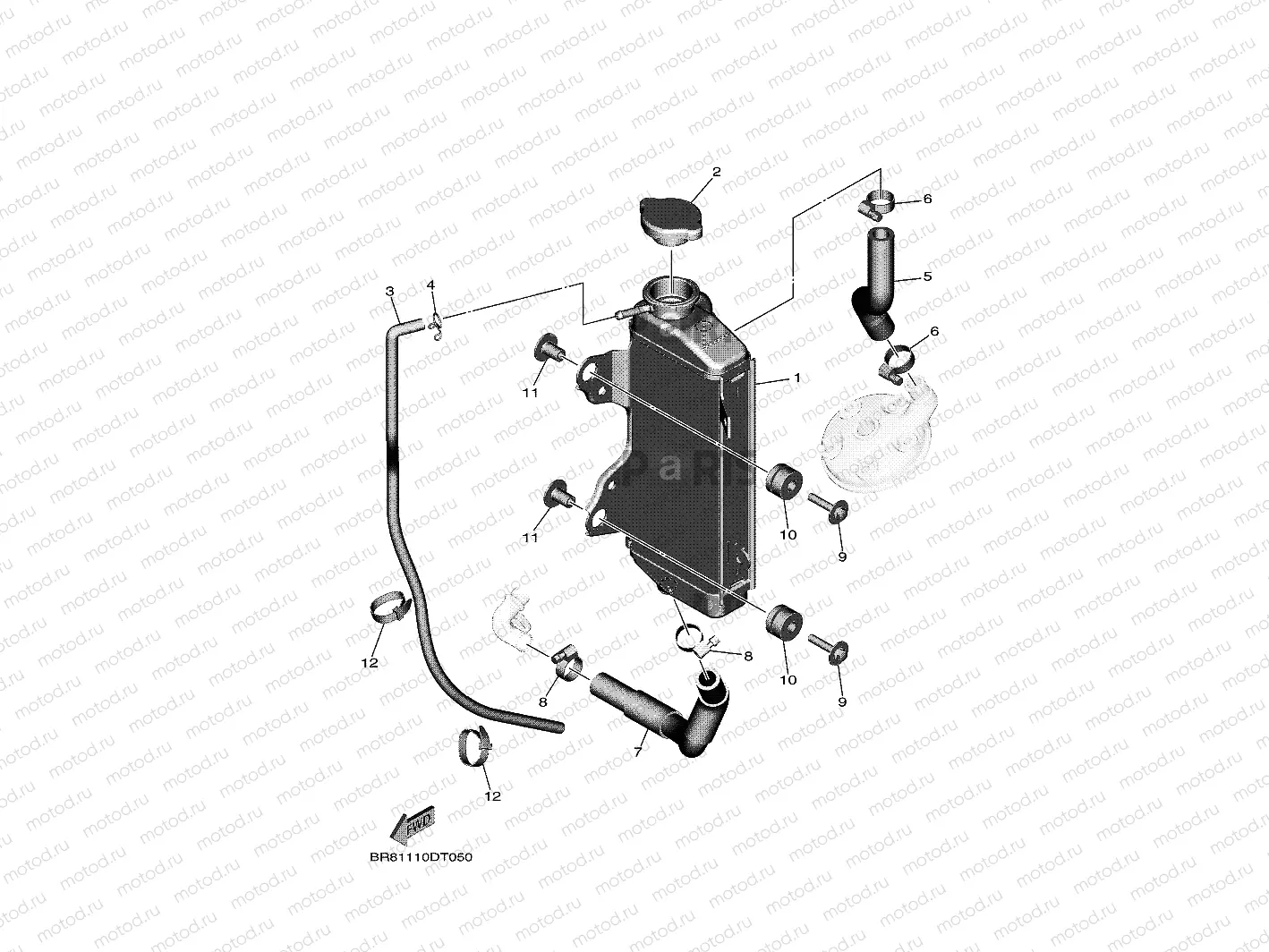 RADIATOR & HOSE