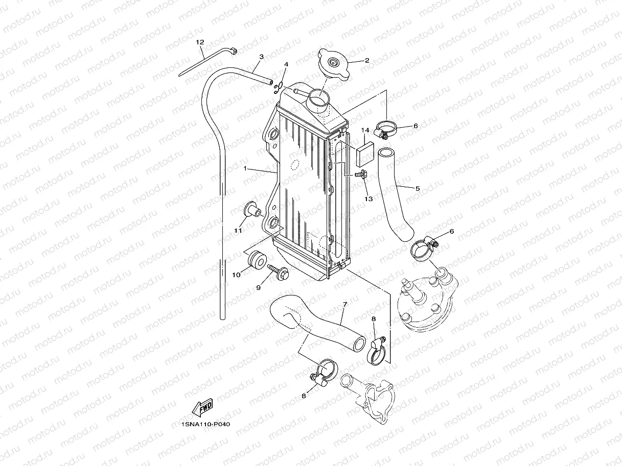 RADIATOR & HOSE