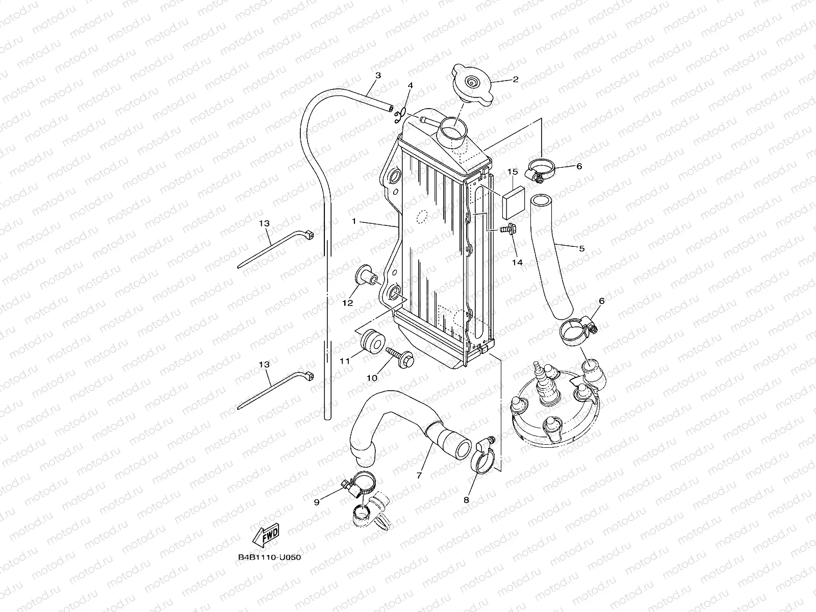 RADIATOR & HOSE