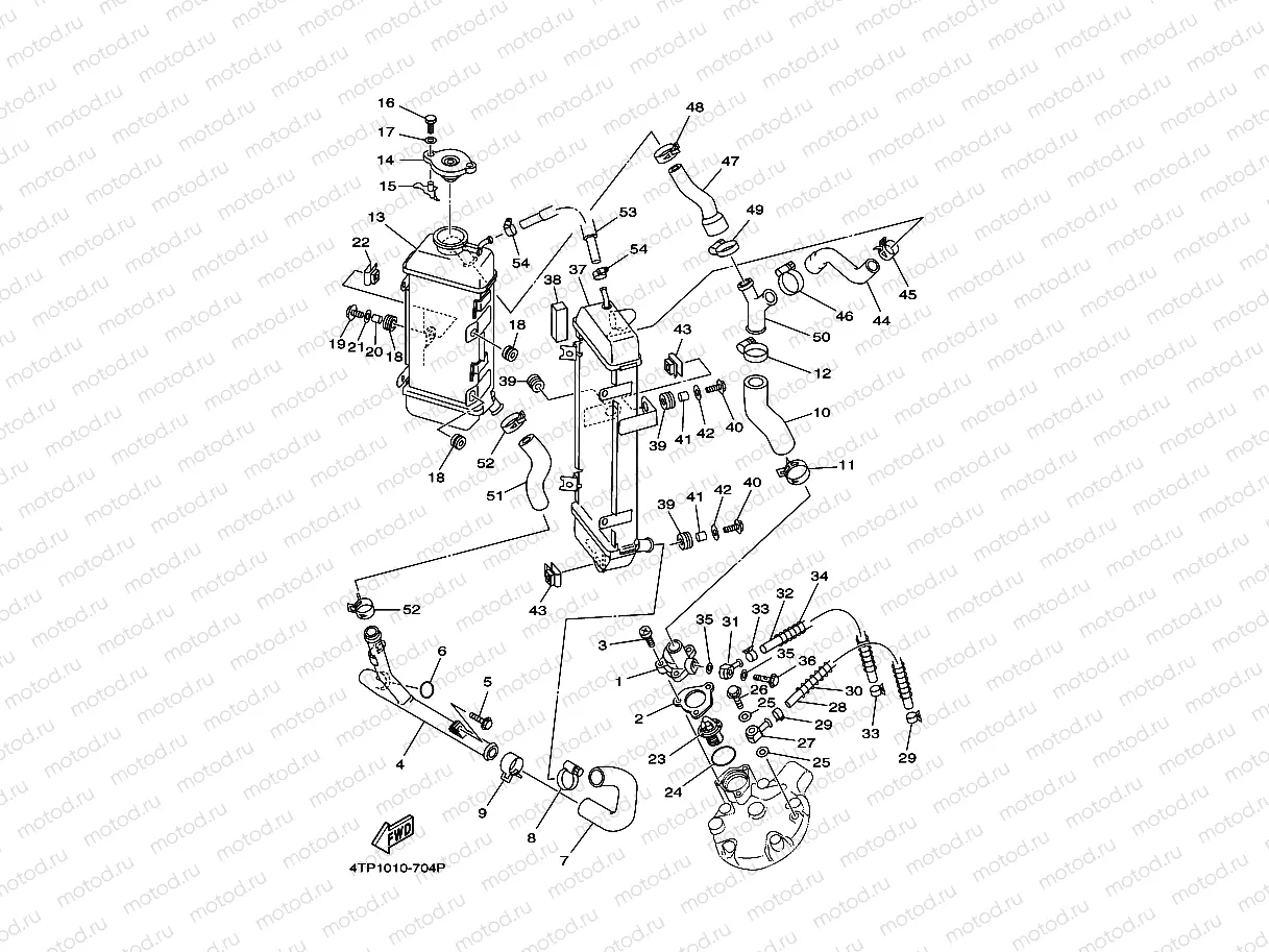 Radiator. Hose
