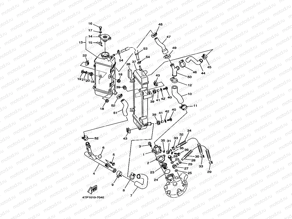 RADIATOR & HOSE