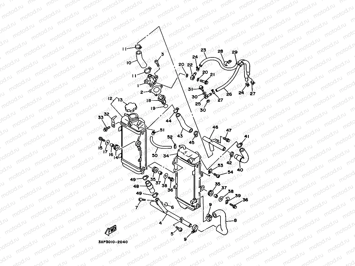 Radiator. Hose