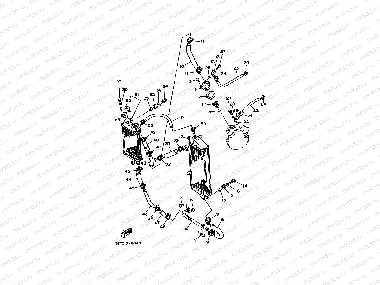 RADIATOR & HOSE