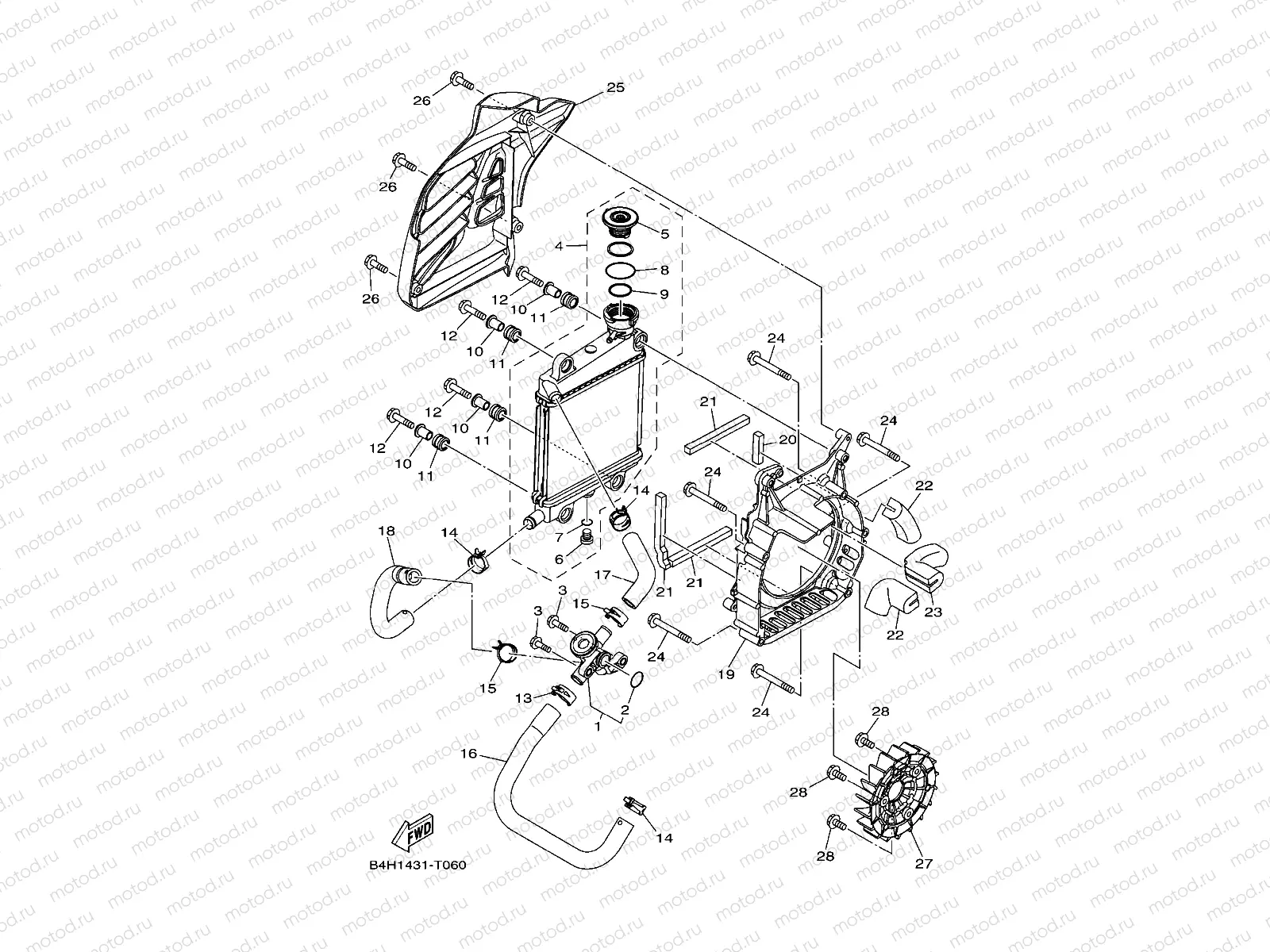 RADIATOR & HOSE