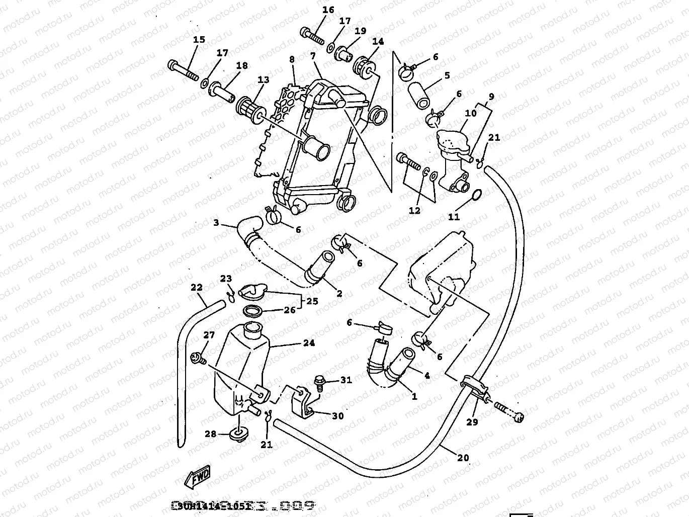 RADIATOR & HOSE