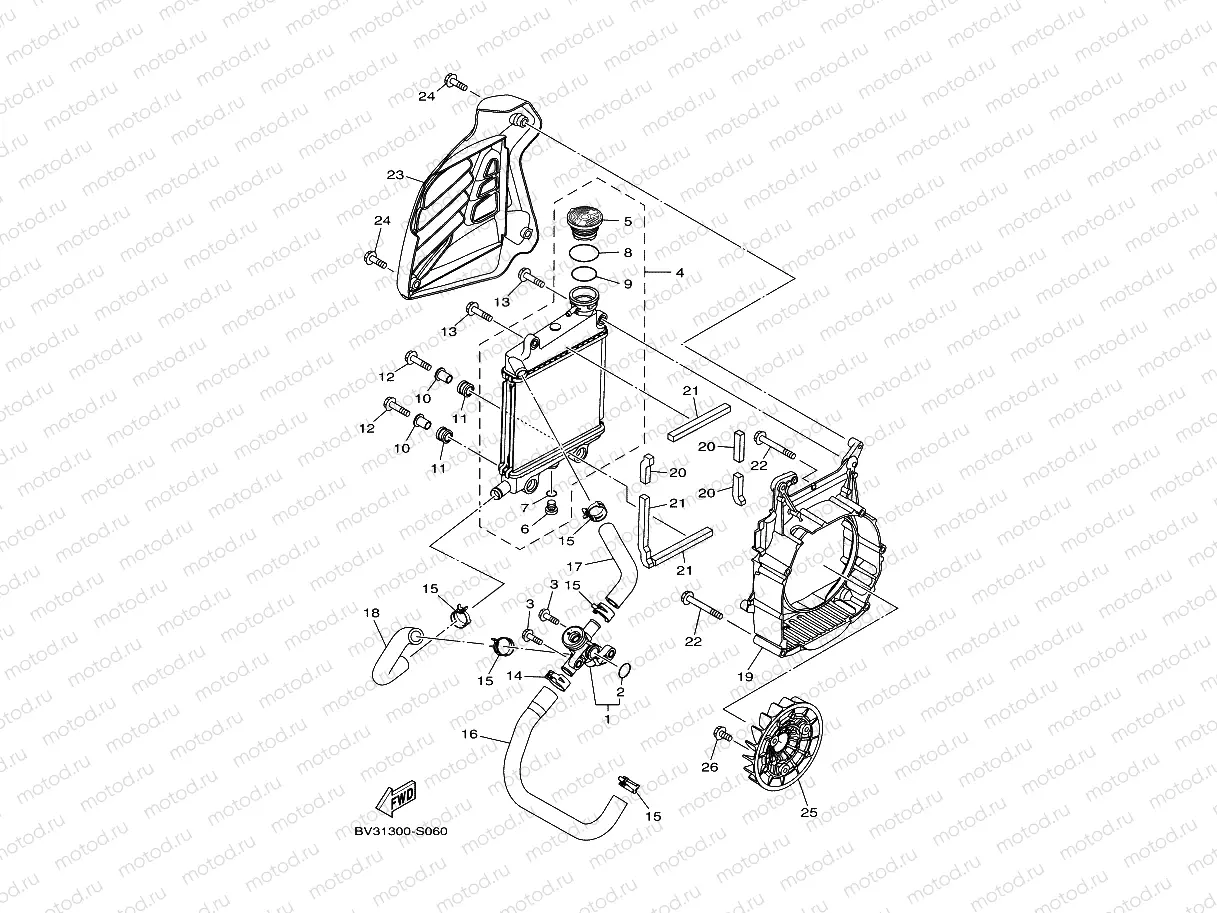 RADIATOR & HOSE