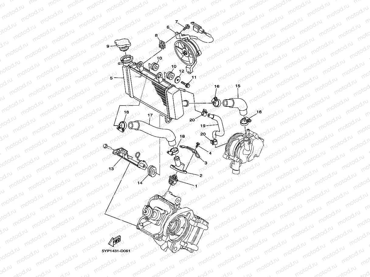 RADIATOR & HOSE