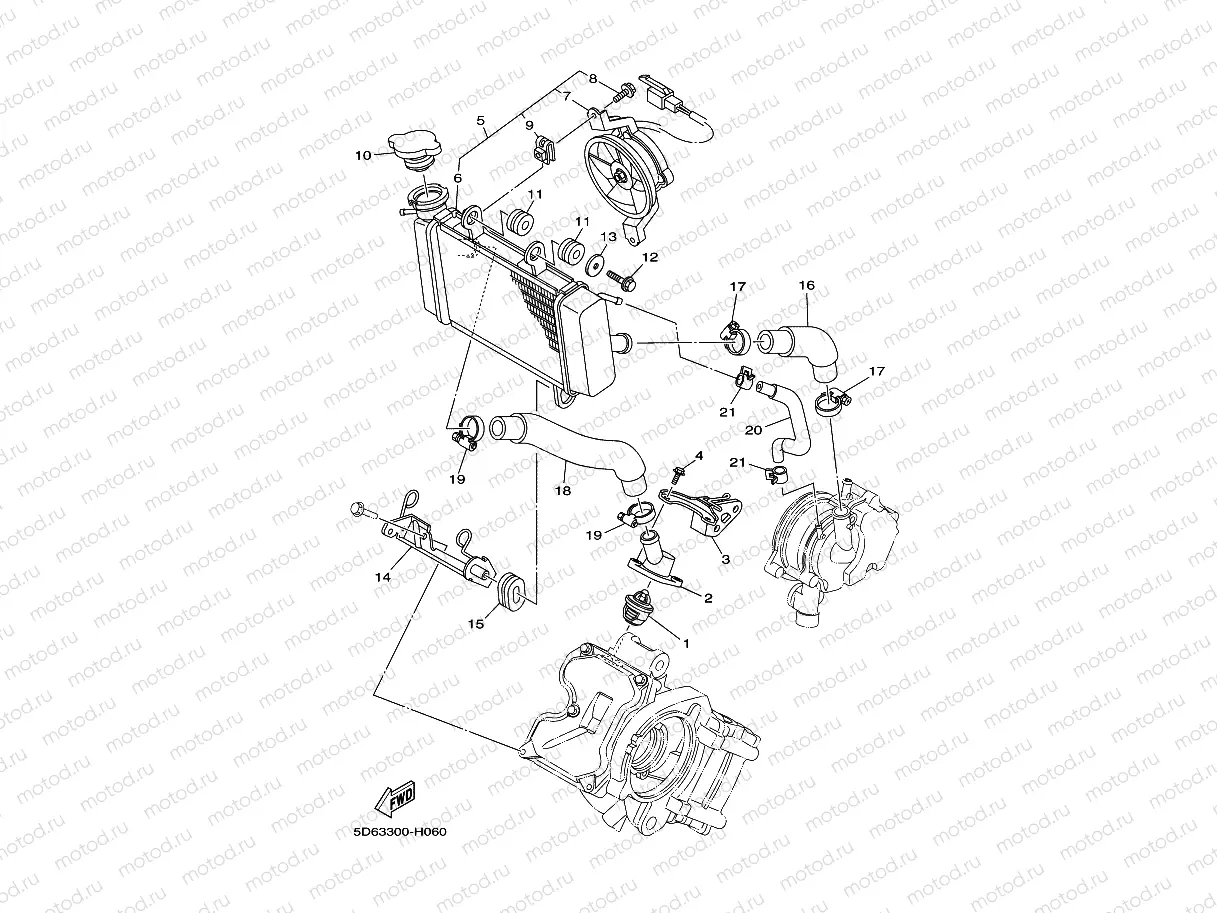 RADIATOR & HOSE