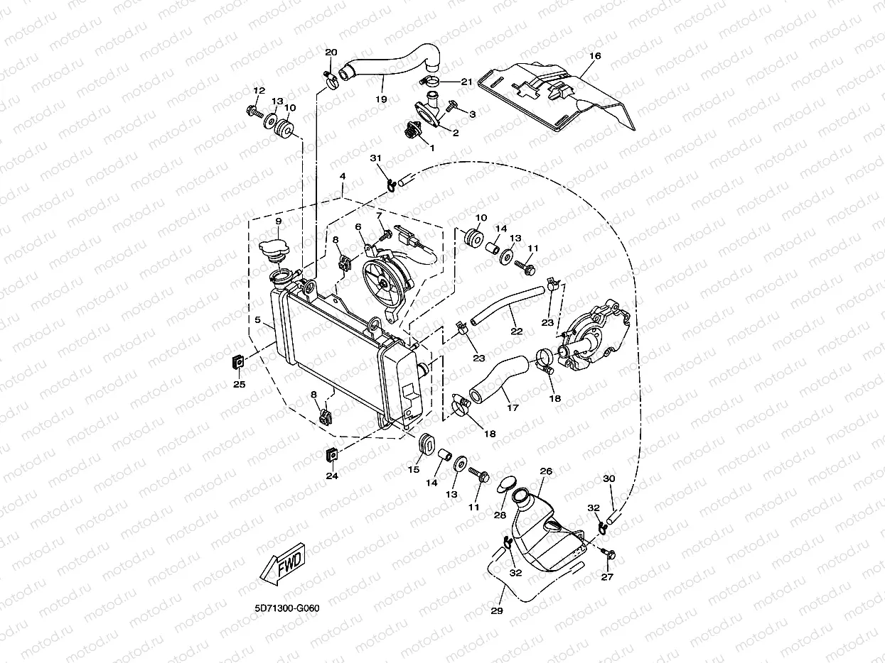 RADIATOR & HOSE