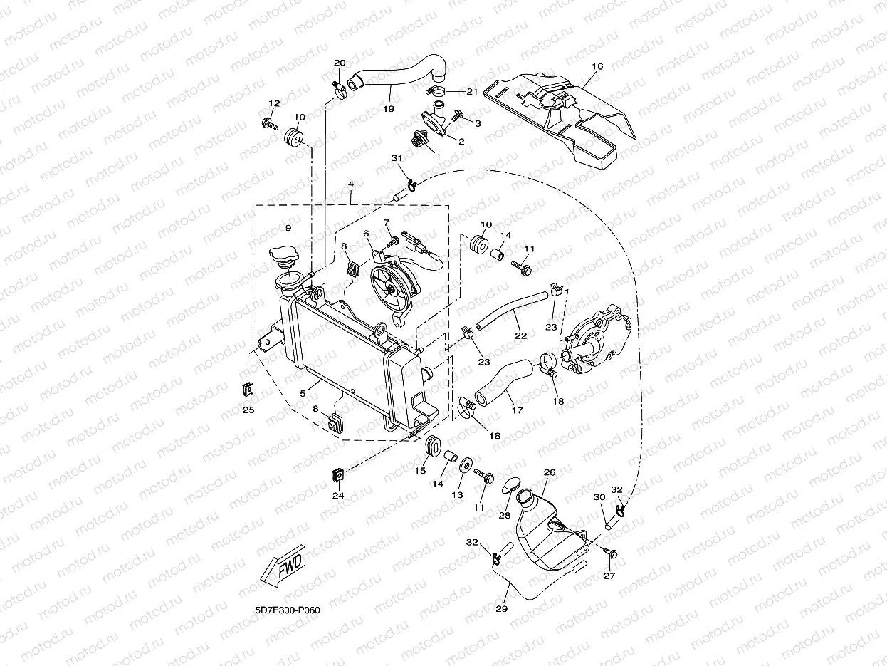 RADIATOR & HOSE