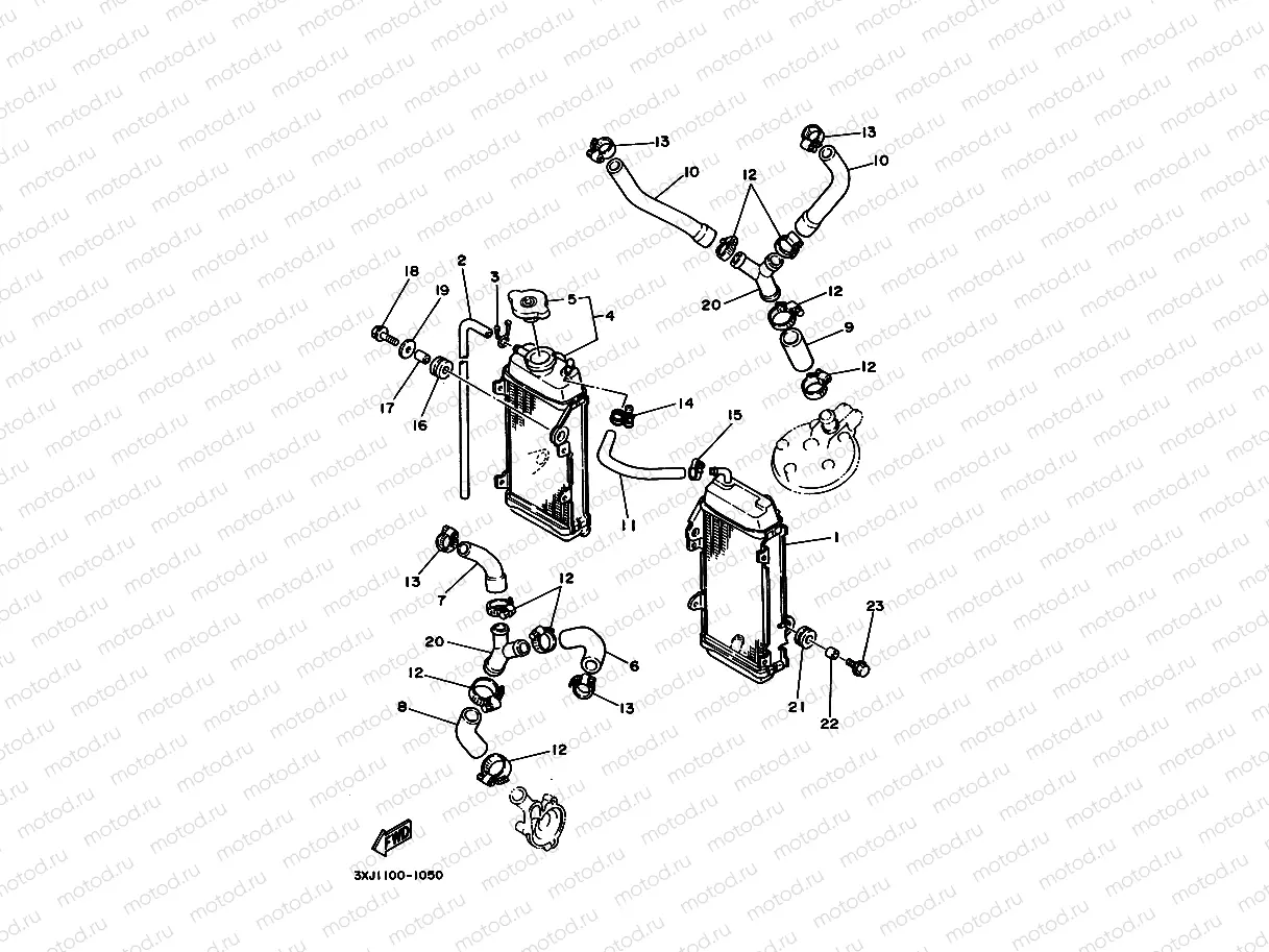 RADIATOR & HOSE