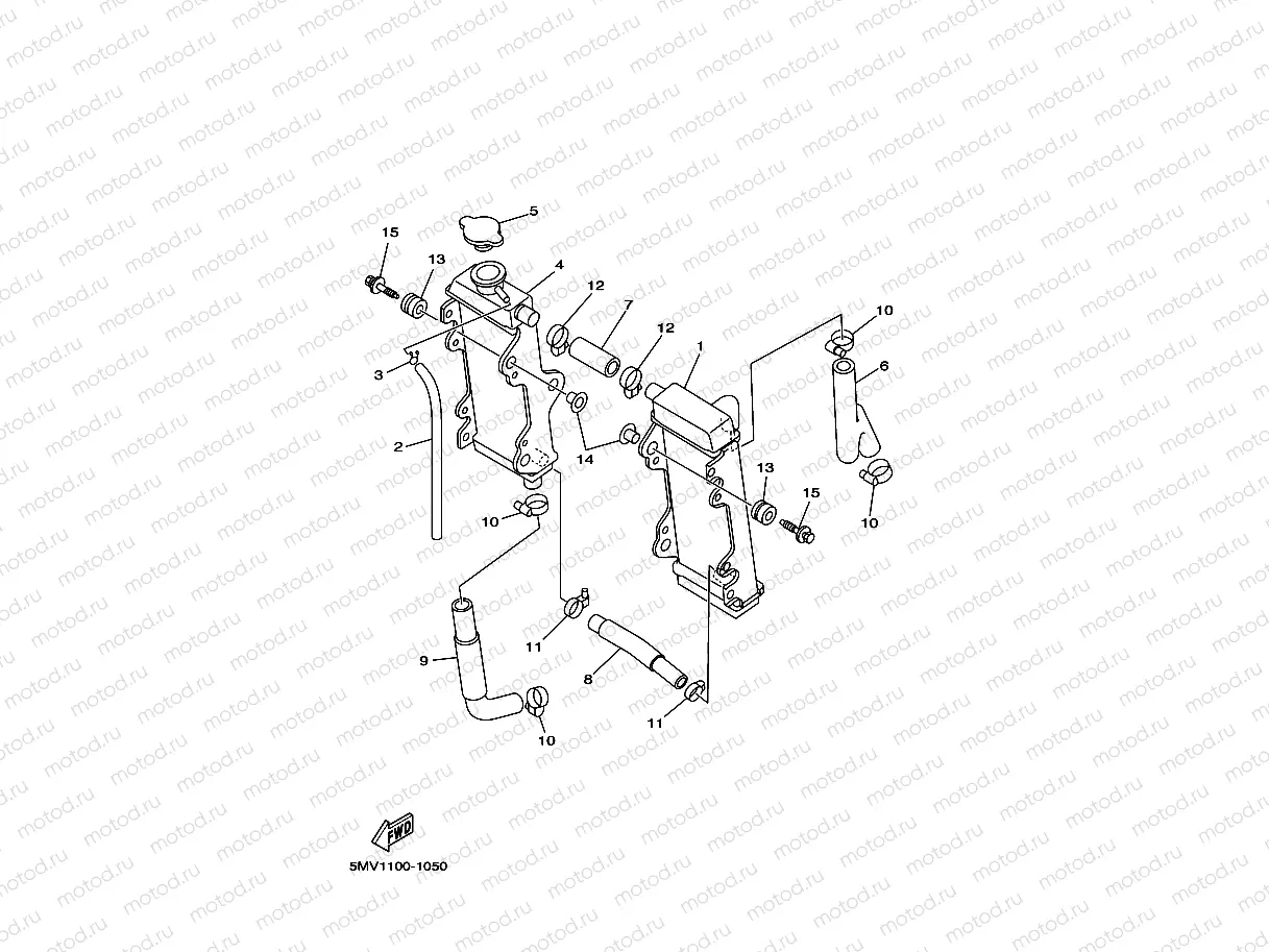 RADIATOR & HOSE
