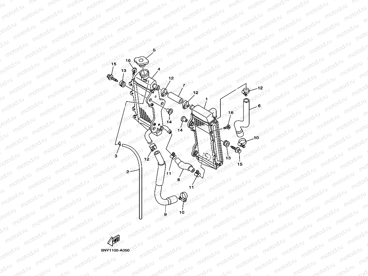 RADIATOR & HOSE