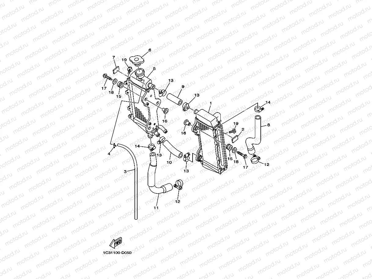 RADIATOR & HOSE