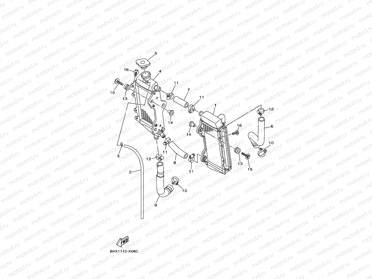 RADIATOR & HOSE