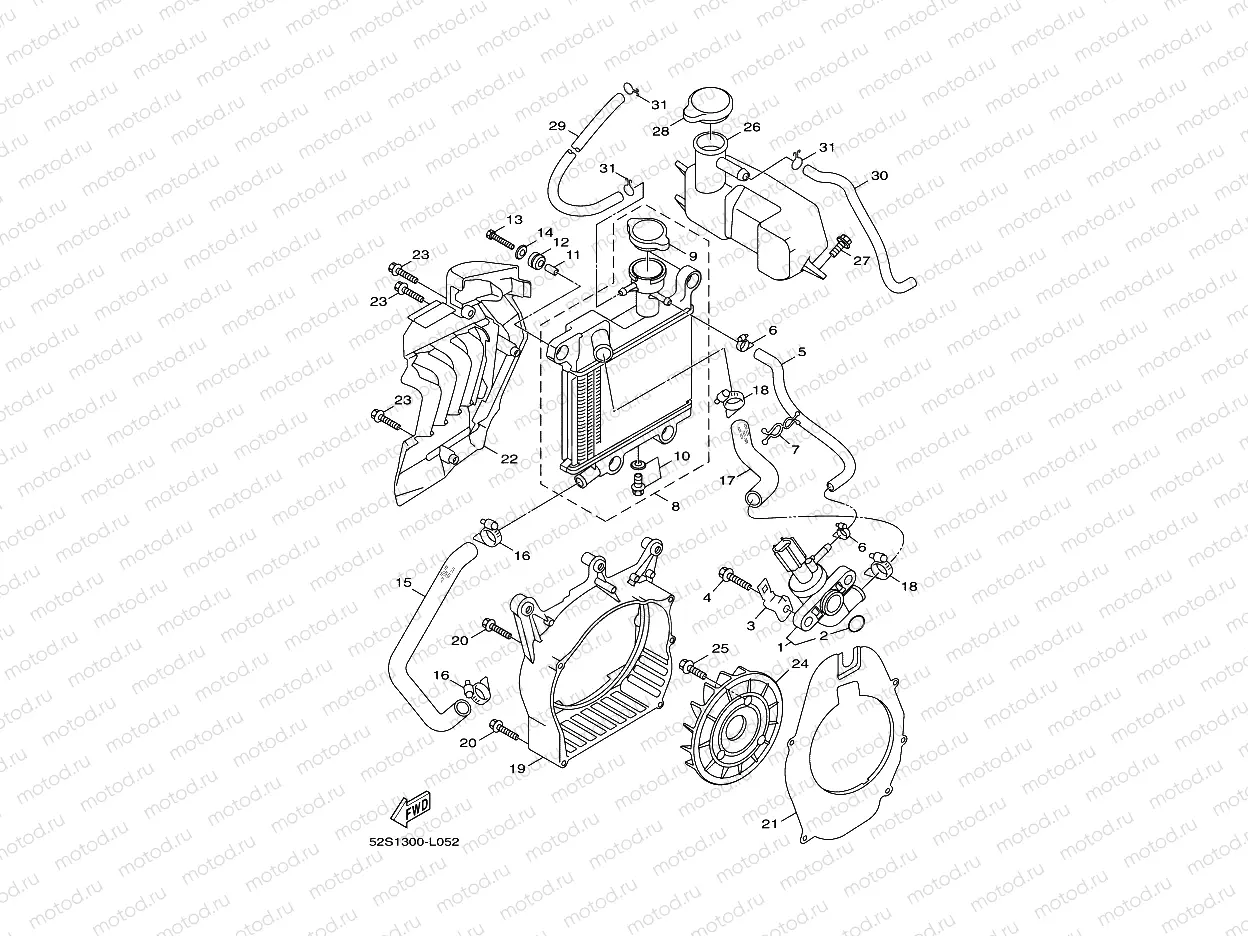 RADIATOR & HOSE