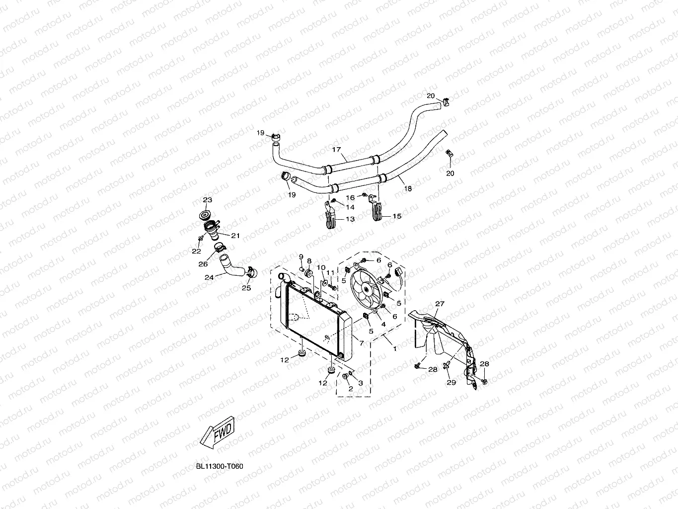 RADIATOR & HOSE