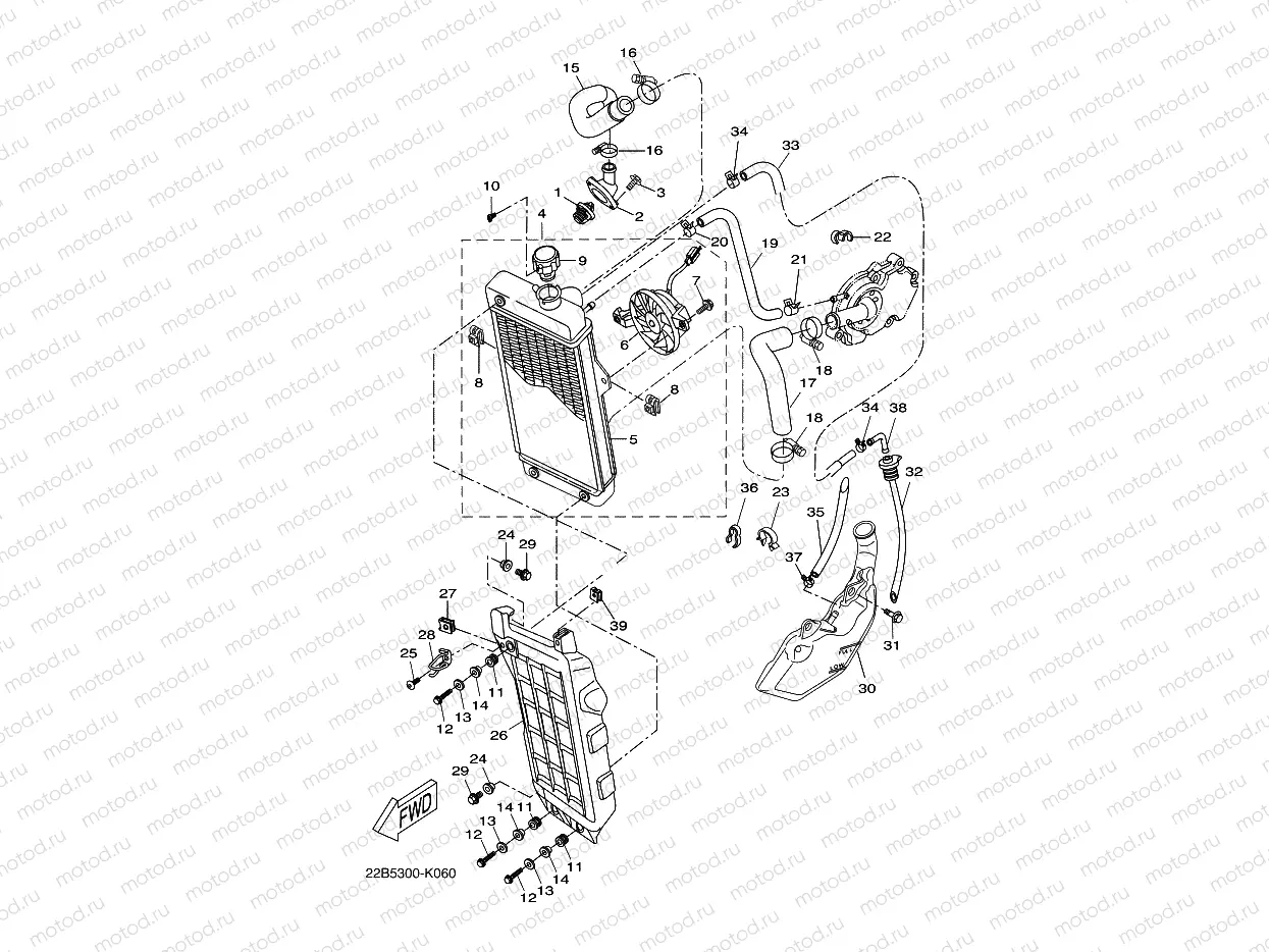 RADIATOR & HOSE