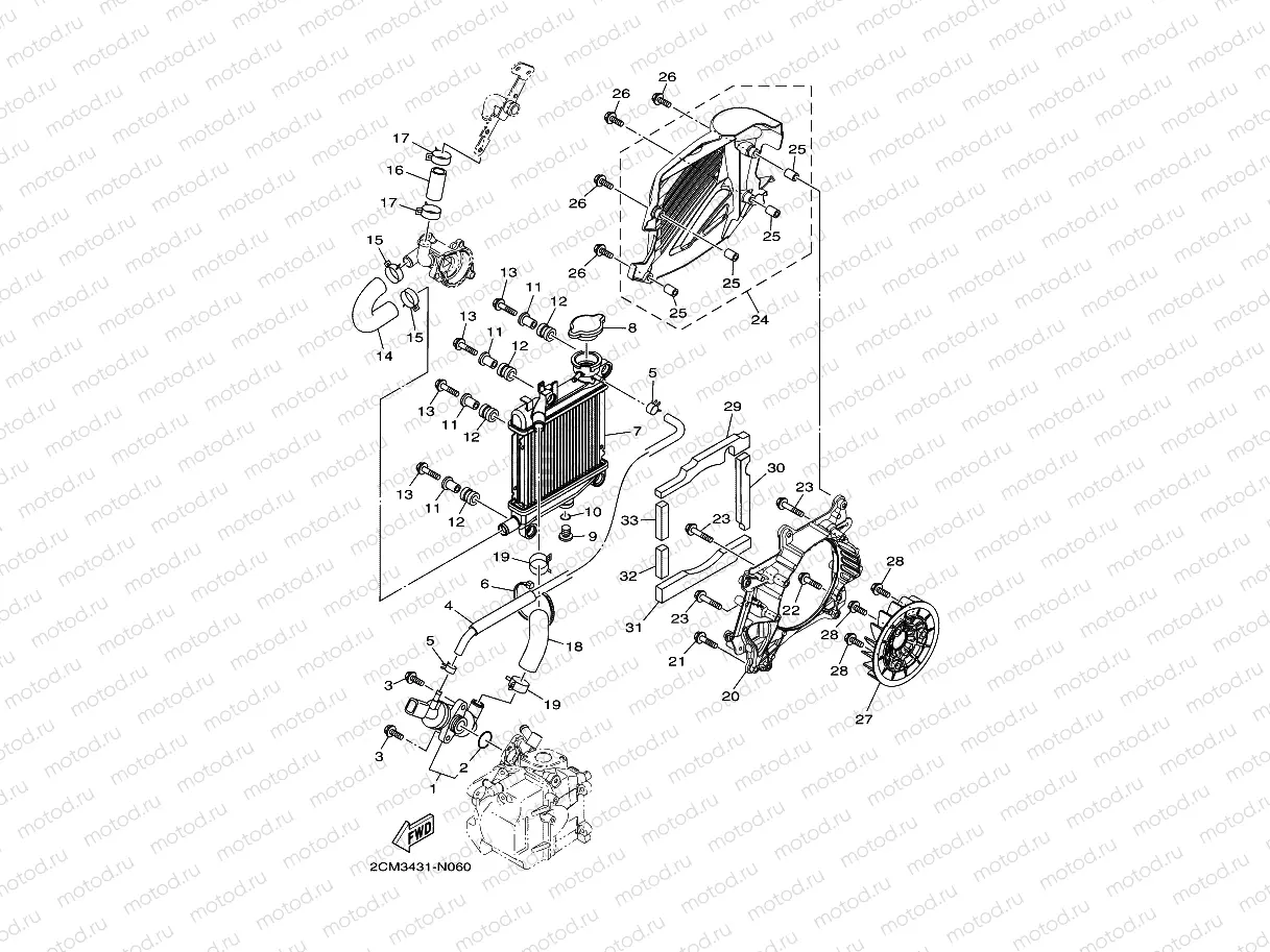 RADIATOR & HOSE