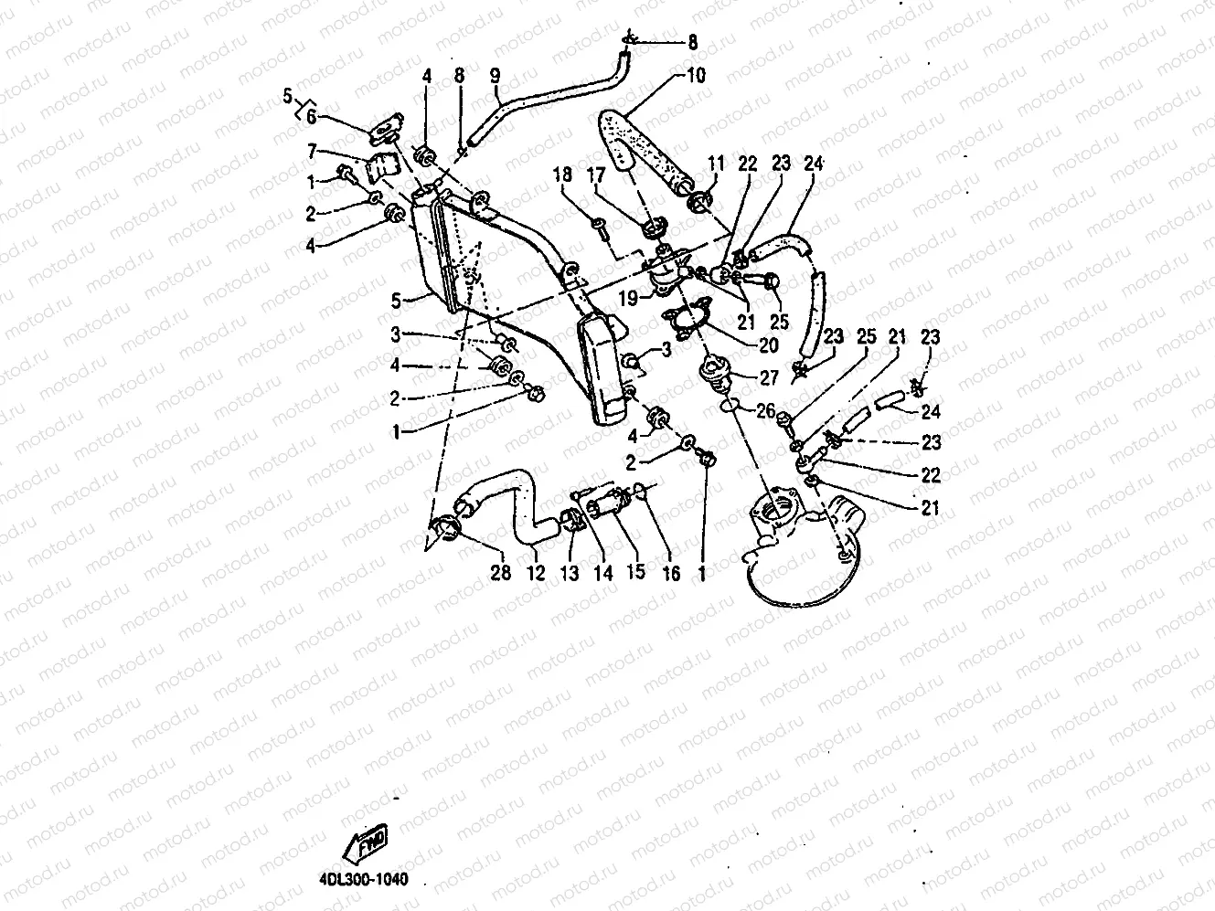 RADIATOR & HOSE