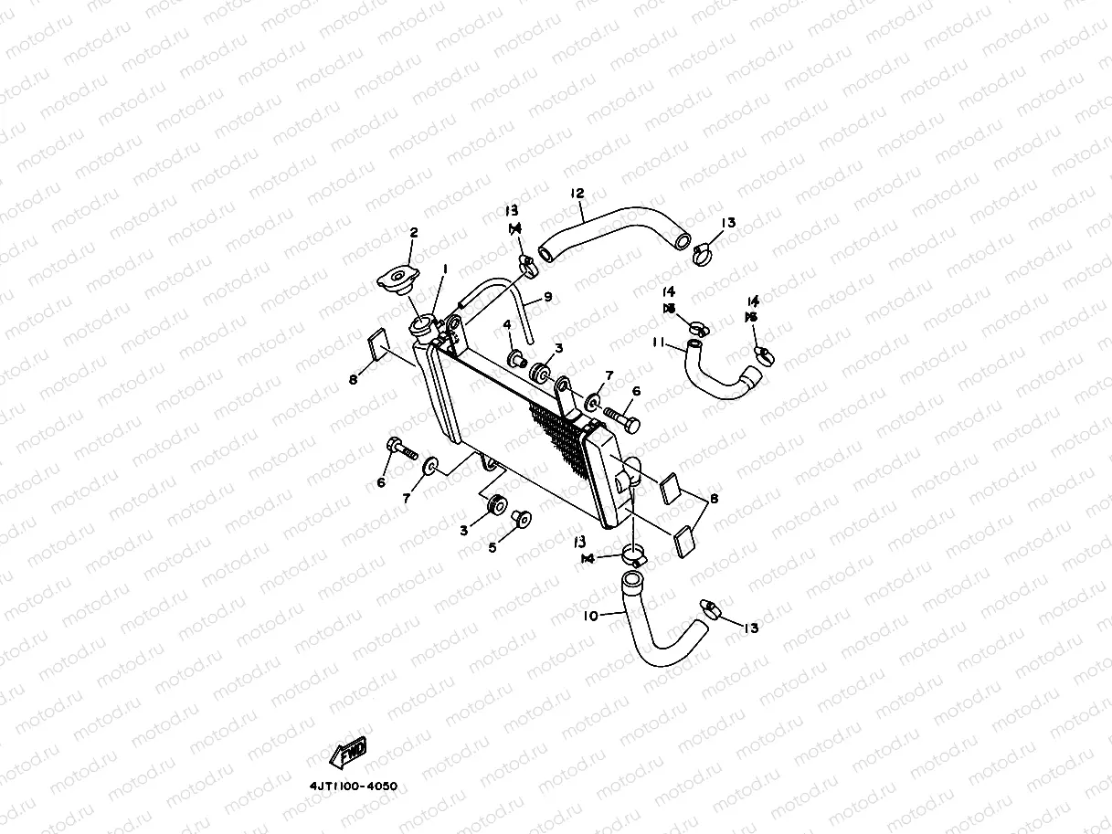 RADIATOR & HOSE