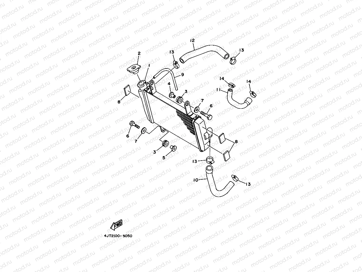 RADIATOR & HOSE