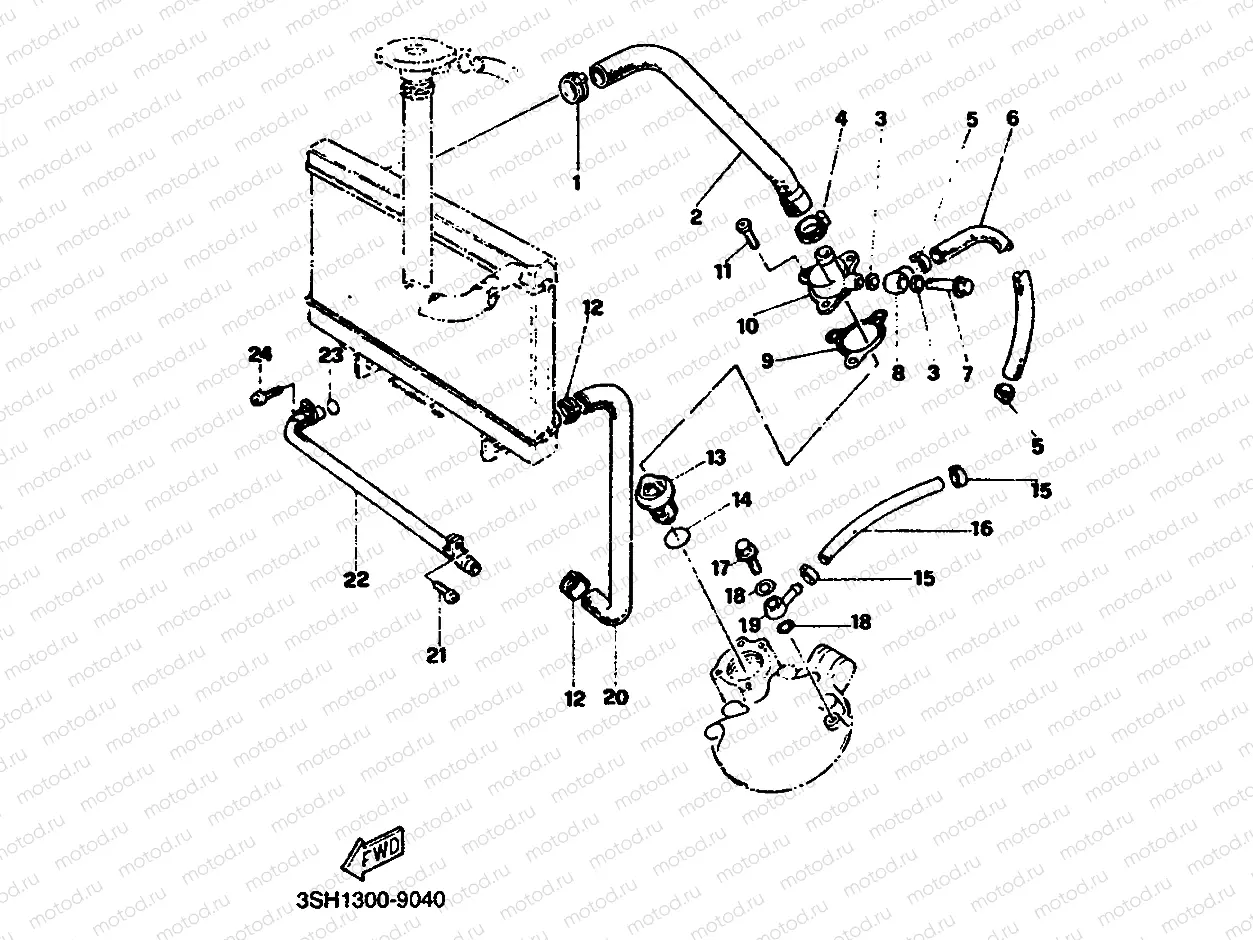 RADIATOR & HOSE
