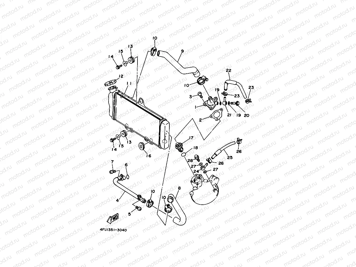 RADIATOR & HOSE