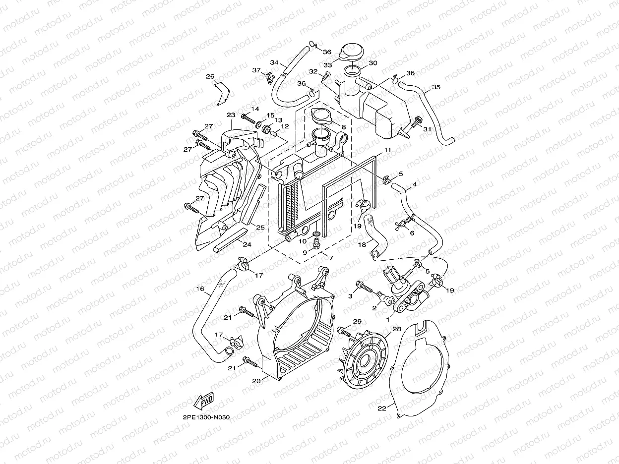 RADIATOR & HOSE
