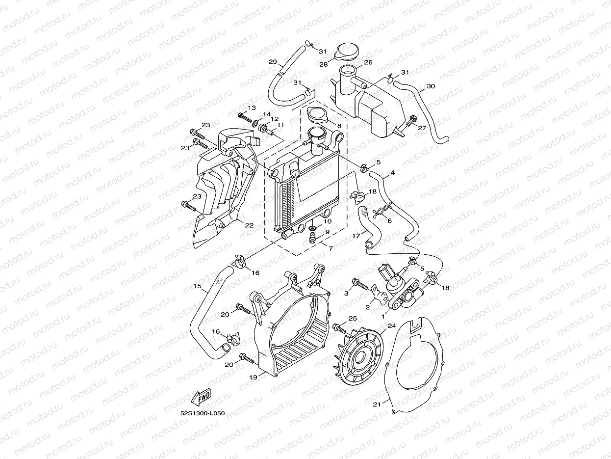 RADIATOR & HOSE