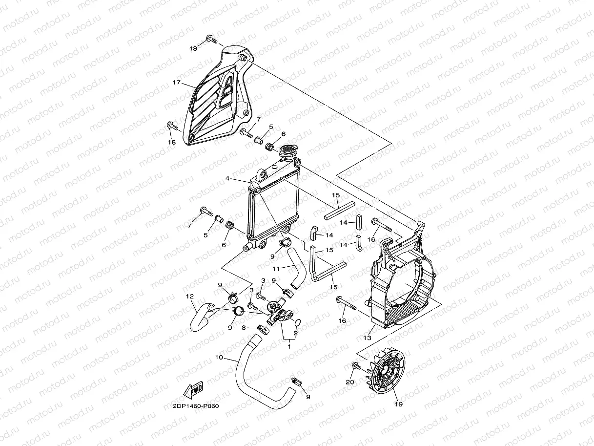 RADIATOR & HOSE
