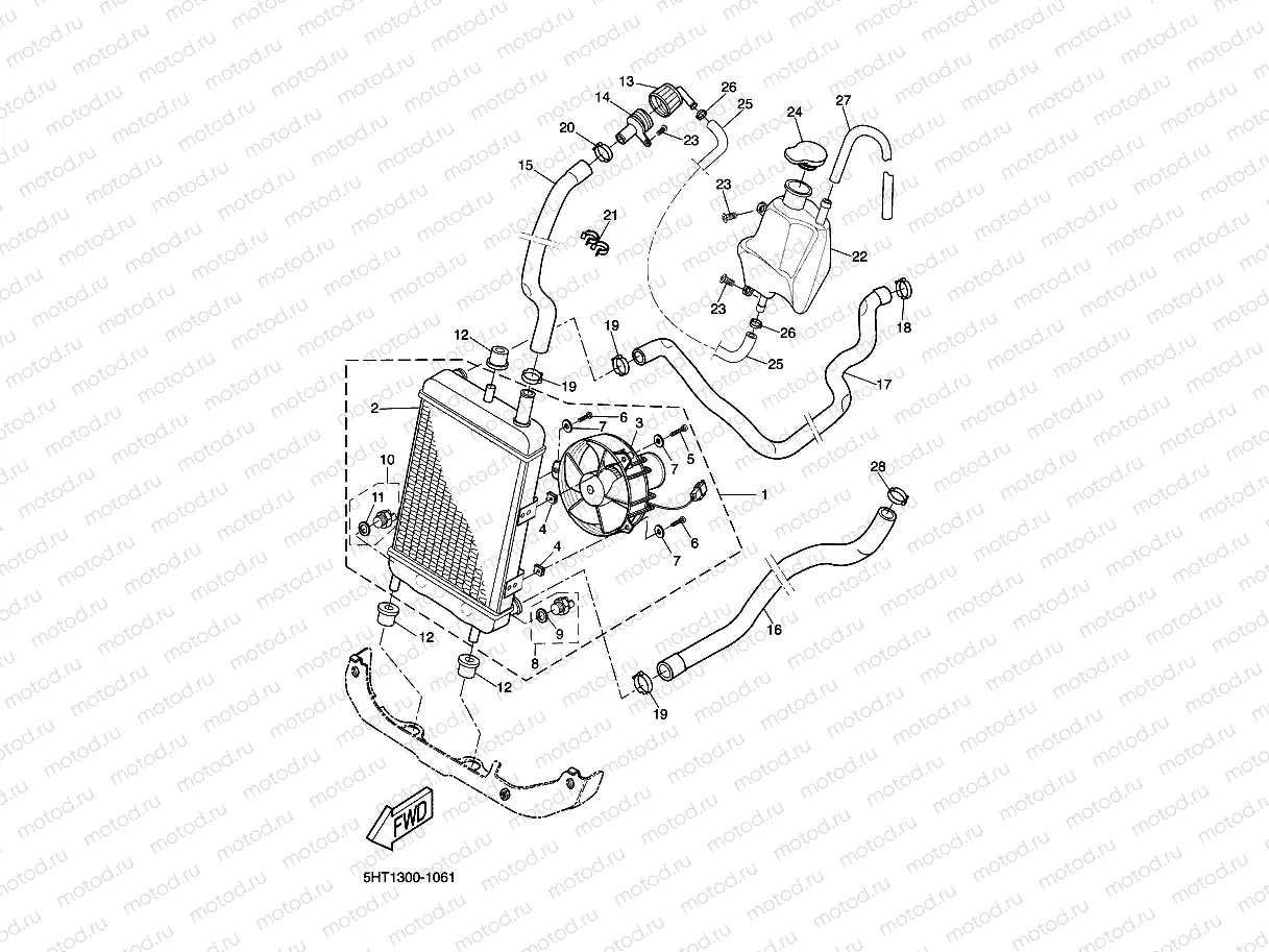 RADIATOR & HOSE
