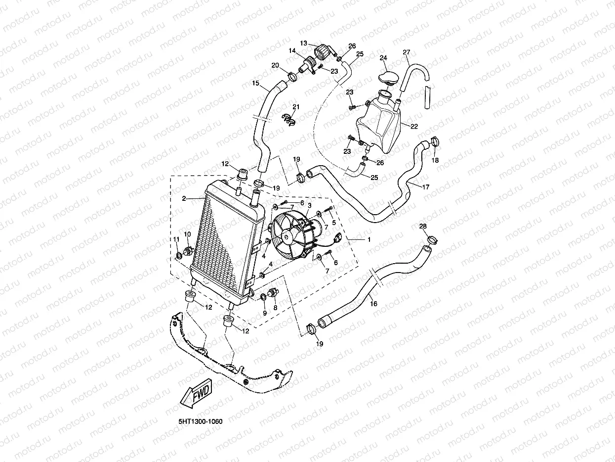 RADIATOR & HOSE