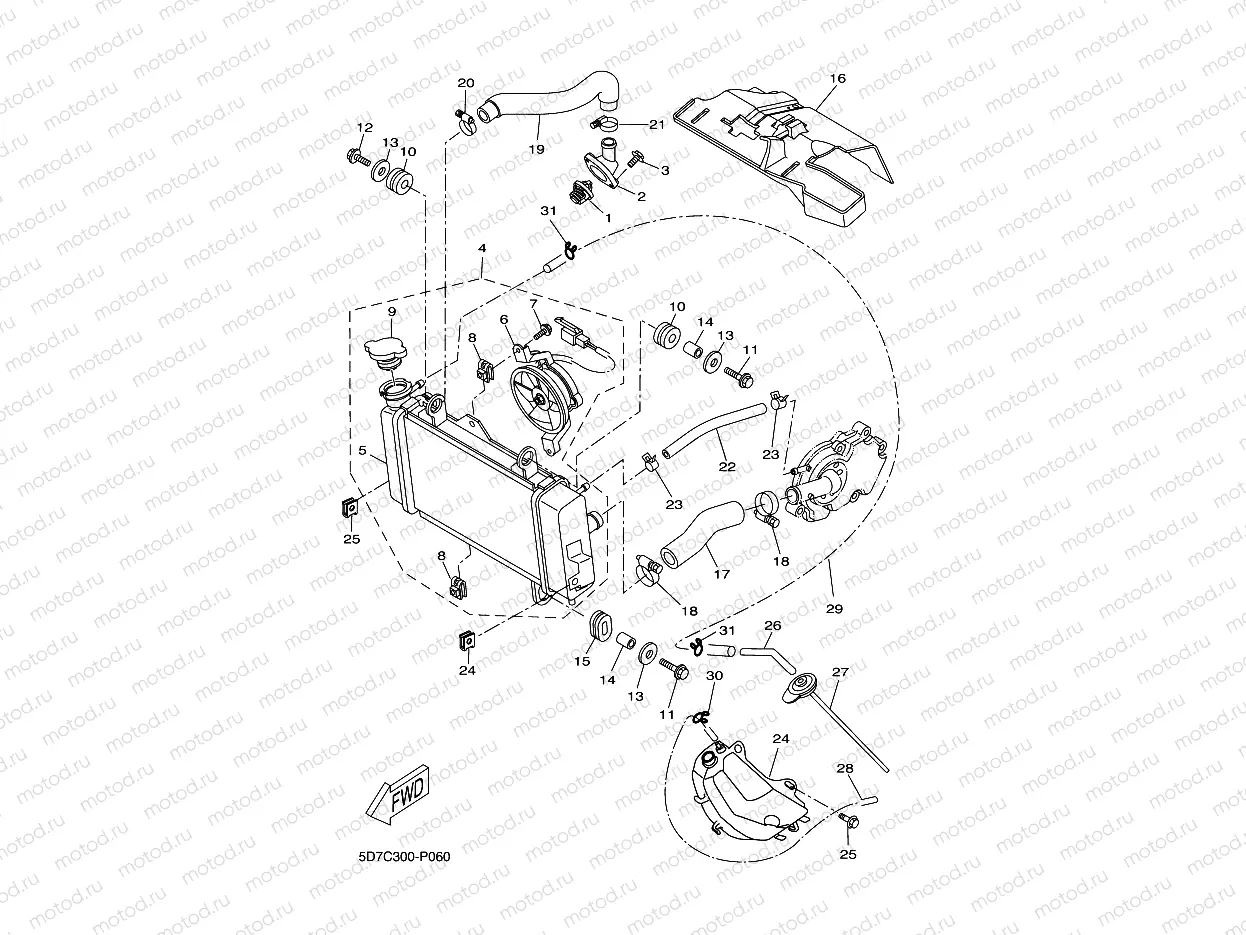 RADIATOR & HOSE