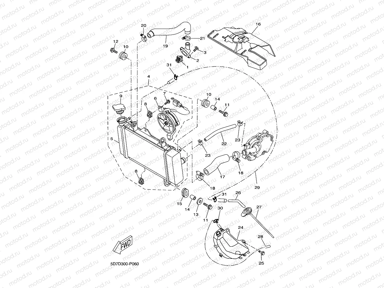 RADIATOR & HOSE