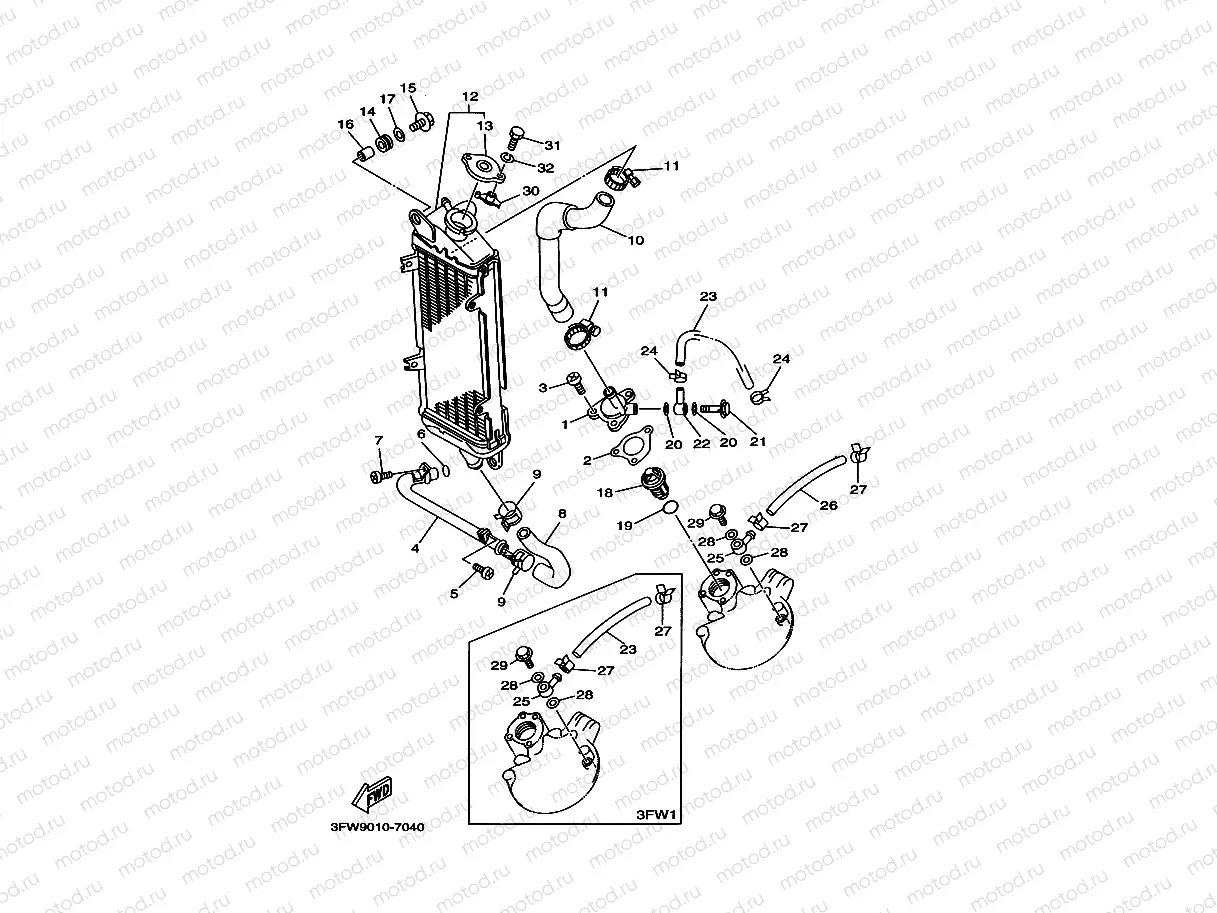 Radiator. Hose