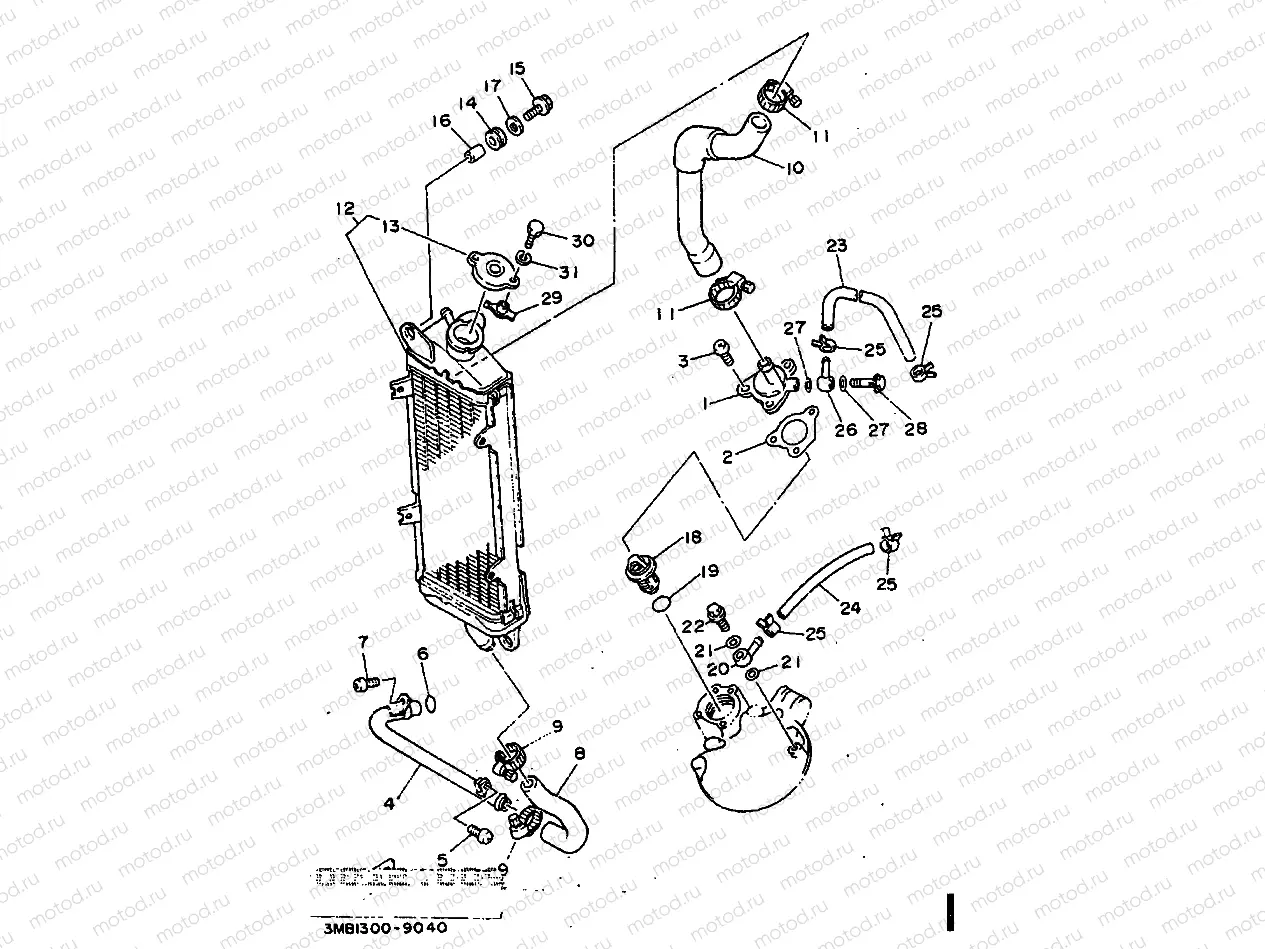 RADIATOR & HOSE