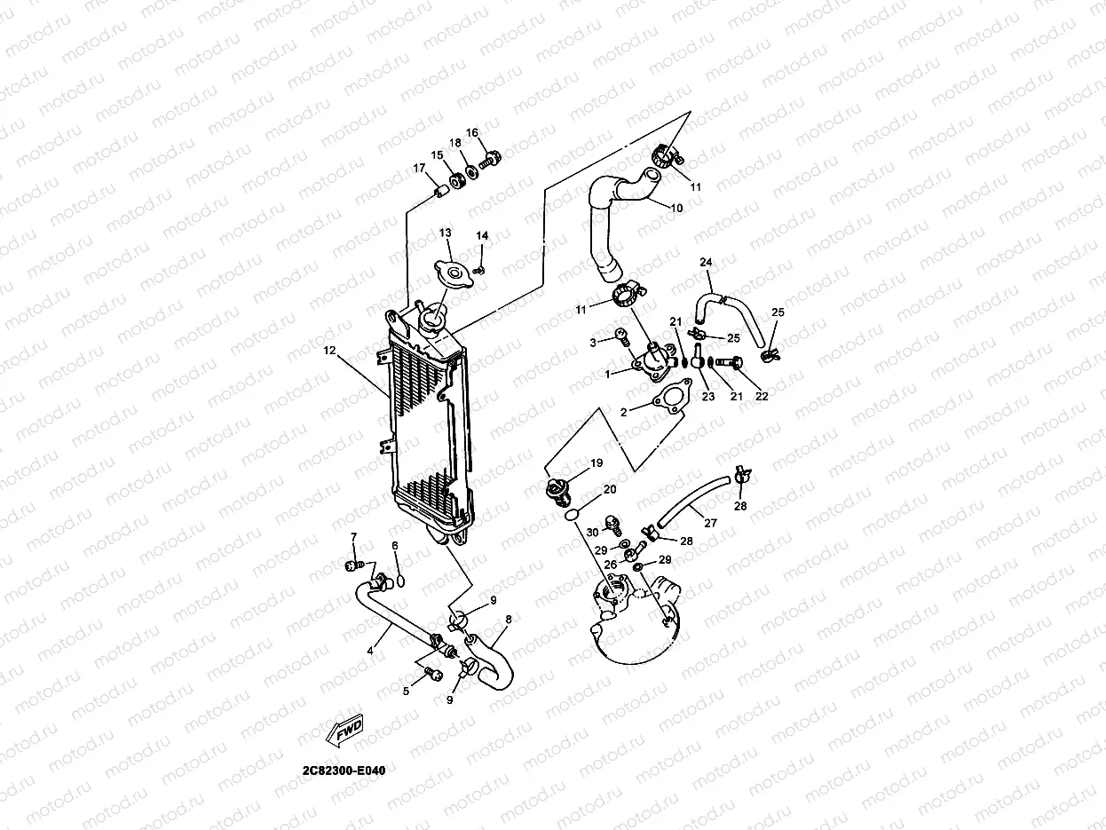 RADIATOR & HOSE