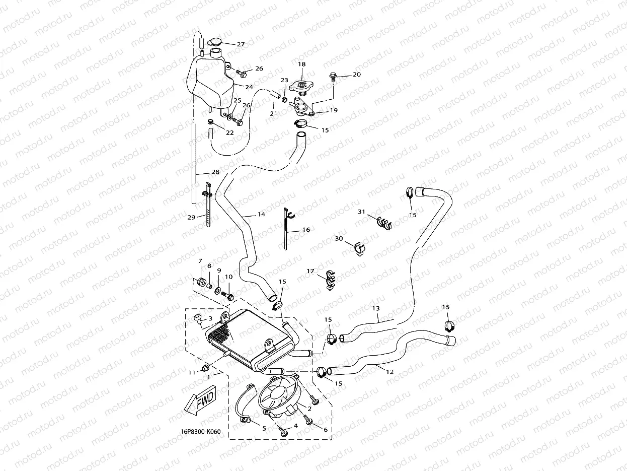 RADIATOR & HOSE