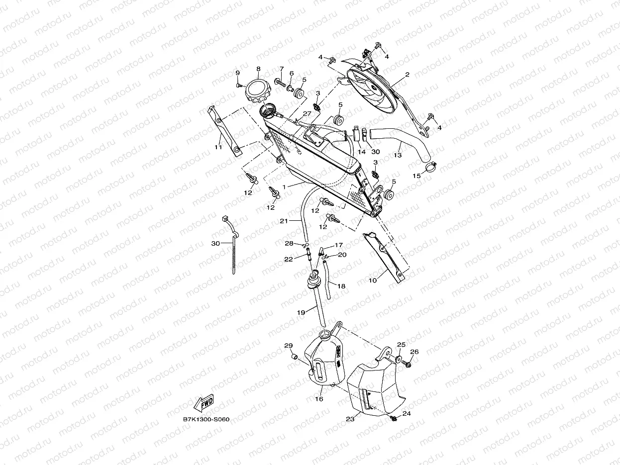 RADIATOR & HOSE