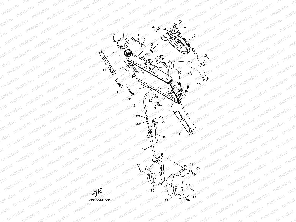 RADIATOR & HOSE