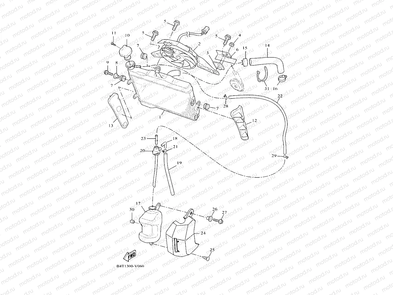 RADIATOR & HOSE