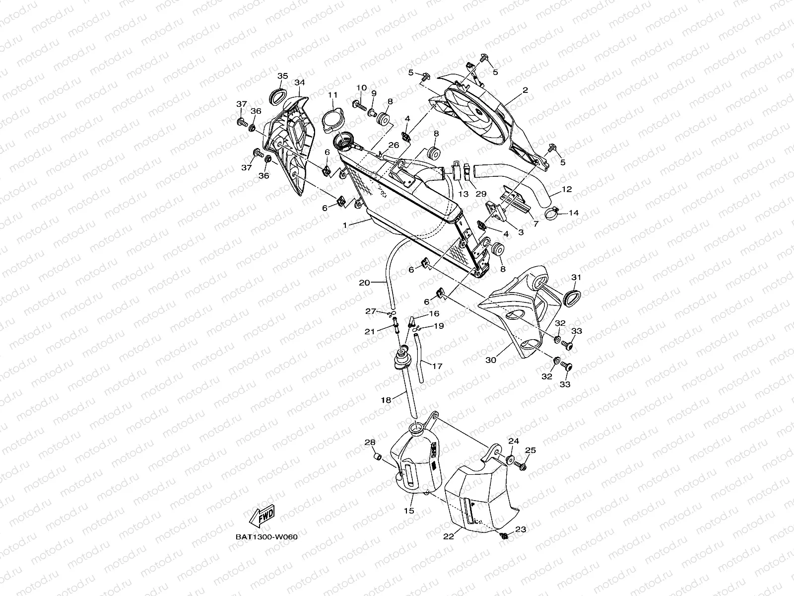 RADIATOR & HOSE