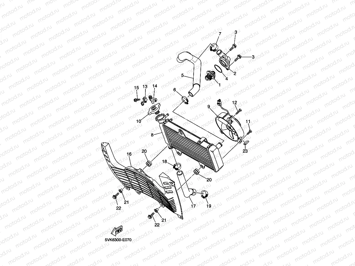 RADIATOR & HOSE