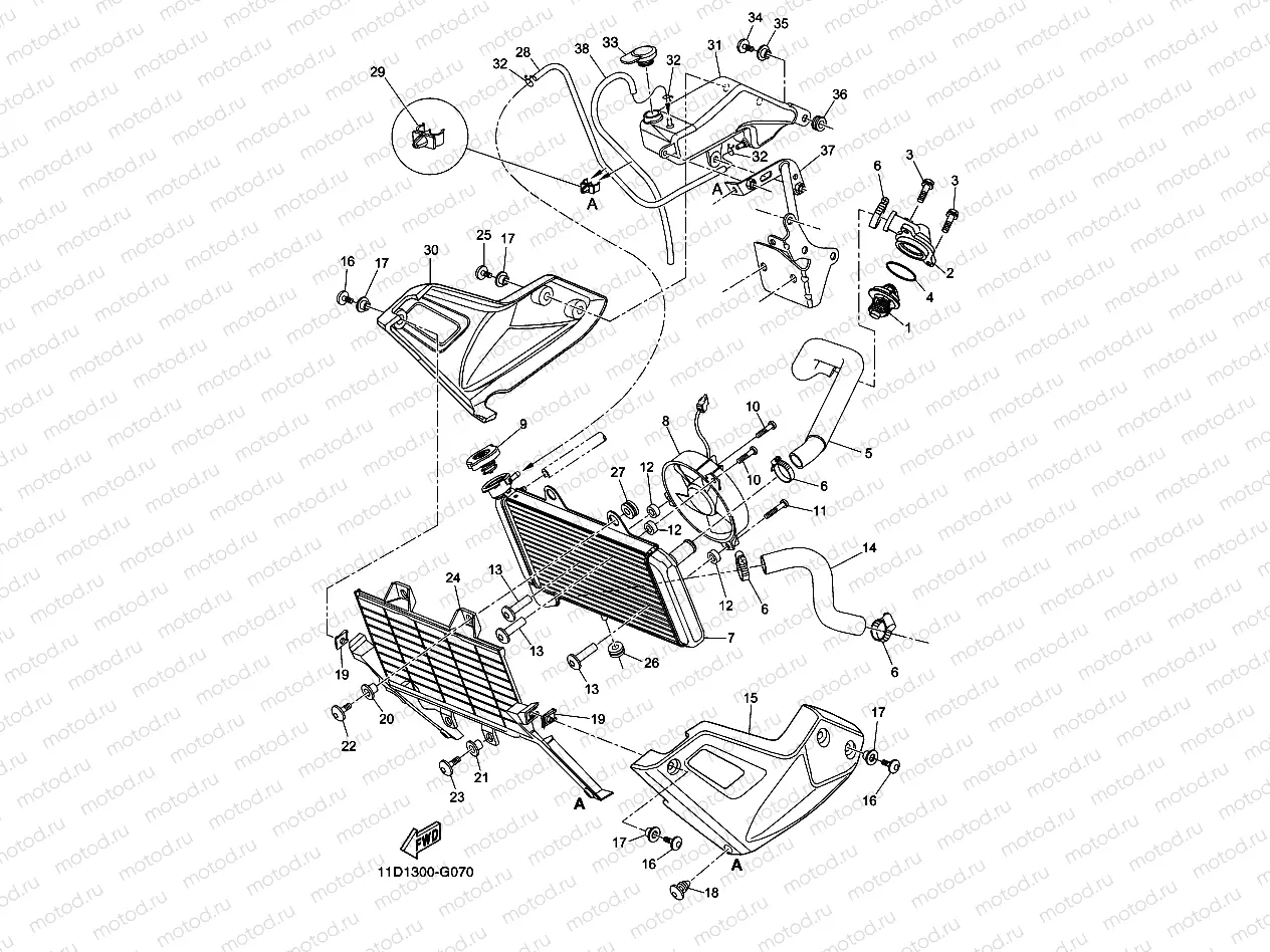 RADIATOR & HOSE