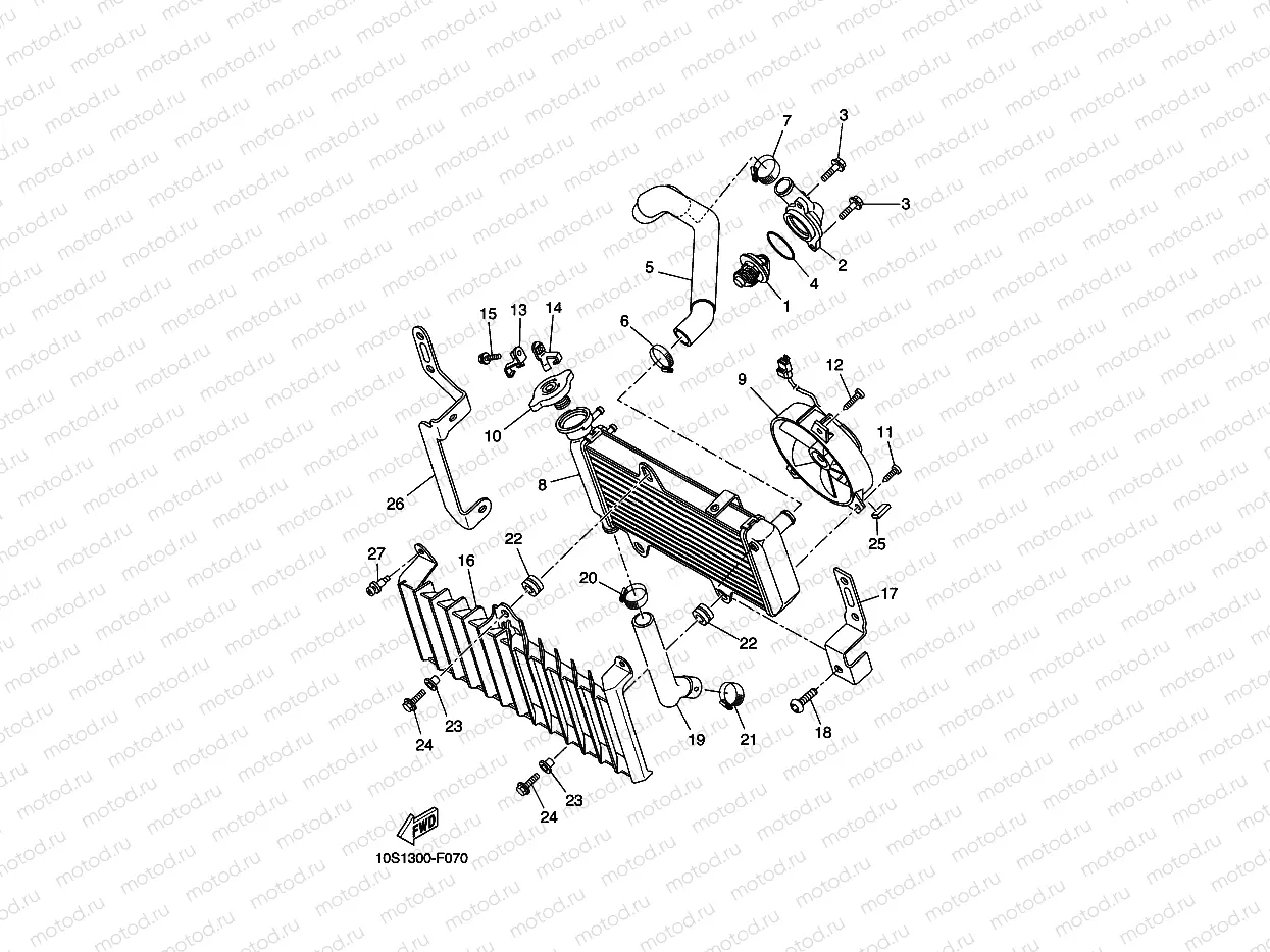 RADIATOR & HOSE